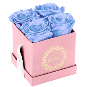 4 Roses  Velvet Square Box