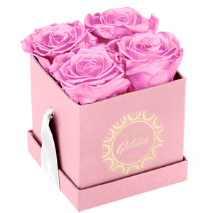 4 Roses  Velvet Square Box