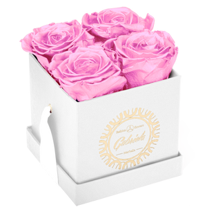4 Roses  Velvet Square Box