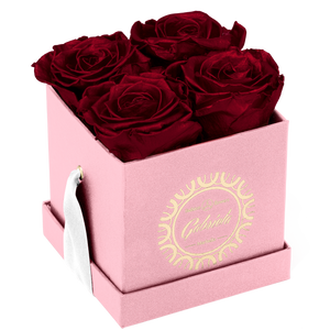4 Roses  Velvet Square Box