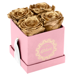 4 Roses  Velvet Square Box