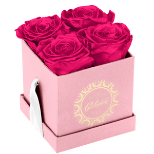 4 Roses  Velvet Square Box