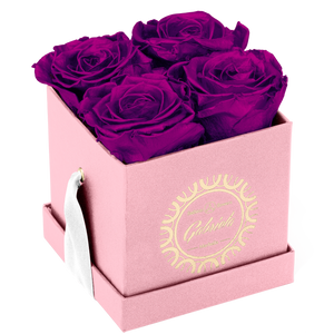 4 Roses  Velvet Square Box