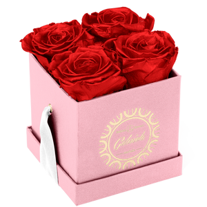 4 Roses  Velvet Square Box