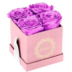 4 Roses  Velvet Square Box
