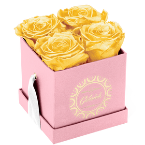 4 Roses  Velvet Square Box