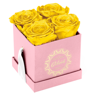 4 Roses  Velvet Square Box