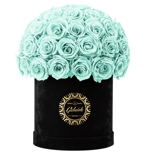 Velvet Special Collection bouquet with more than 50 Roses