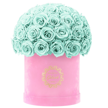 Velvet Special Collection bouquet with more than 50 Roses