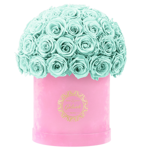 Velvet Special Collection bouquet with more than 50 Roses