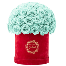 Velvet Special Collection bouquet with more than 50 Roses