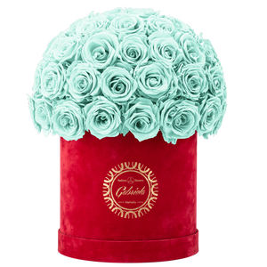 Velvet Special Collection bouquet with more than 50 Roses