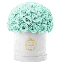Velvet Special Collection bouquet with more than 50 Roses