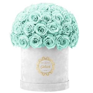 Velvet Special Collection bouquet with more than 50 Roses
