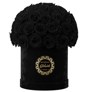 Velvet Special Collection bouquet with more than 50 Roses