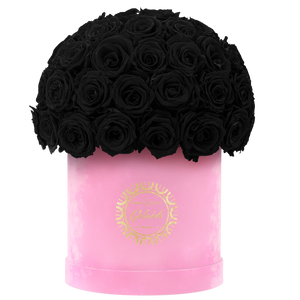 Velvet Special Collection bouquet with more than 50 Roses