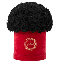 Velvet Special Collection bouquet with more than 50 Roses