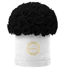 Velvet Special Collection bouquet with more than 50 Roses
