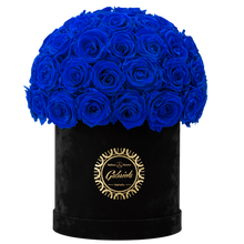Velvet Special Collection bouquet with more than 50 Roses