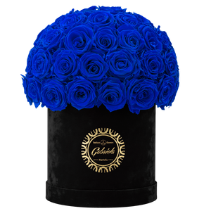 Velvet Special Collection bouquet with more than 50 Roses
