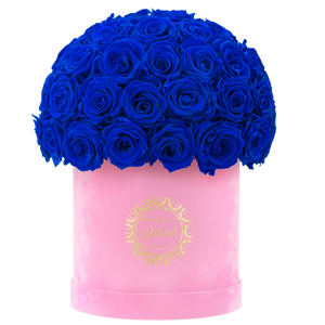 Velvet Special Collection bouquet with more than 50 Roses