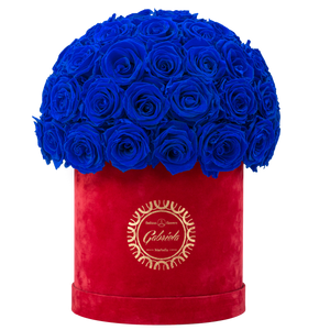 Velvet Special Collection bouquet with more than 50 Roses