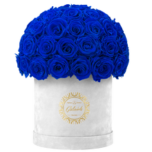 Velvet Special Collection bouquet with more than 50 Roses