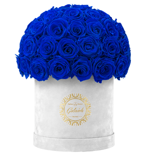 Velvet Special Collection bouquet with more than 50 Roses