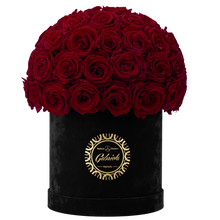 Velvet Special Collection bouquet with more than 50 Roses