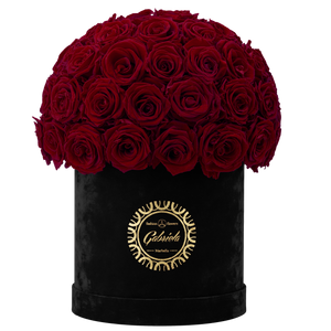 Velvet Special Collection bouquet with more than 50 Roses