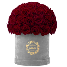 Velvet Special Collection bouquet with more than 50 Roses