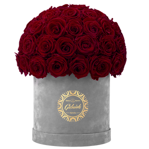 Velvet Special Collection bouquet with more than 50 Roses