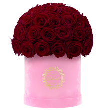 Velvet Special Collection bouquet with more than 50 Roses