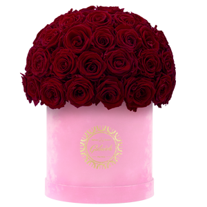 Velvet Special Collection bouquet with more than 50 Roses