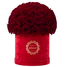 Velvet Special Collection bouquet with more than 50 Roses