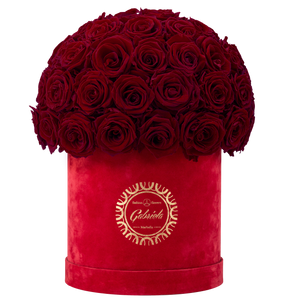 Velvet Special Collection bouquet with more than 50 Roses