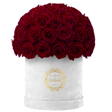 Velvet Special Collection bouquet with more than 50 Roses