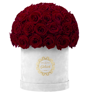 Velvet Special Collection bouquet with more than 50 Roses