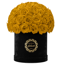 Velvet Special Collection bouquet with more than 50 Roses
