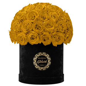 Velvet Special Collection bouquet with more than 50 Roses