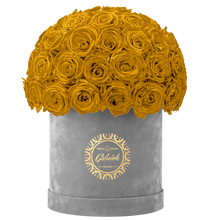 Velvet Special Collection bouquet with more than 50 Roses