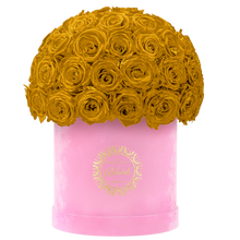 Velvet Special Collection bouquet with more than 50 Roses