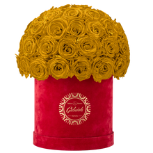 Velvet Special Collection bouquet with more than 50 Roses