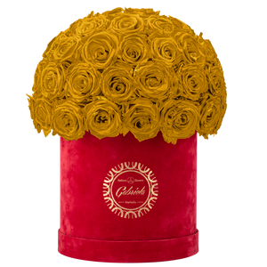 Velvet Special Collection bouquet with more than 50 Roses