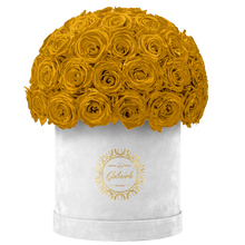 Velvet Special Collection bouquet with more than 50 Roses