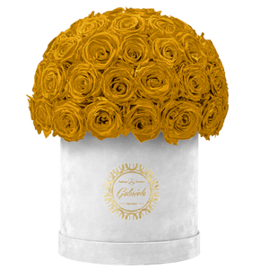 Velvet Special Collection bouquet with more than 50 Roses