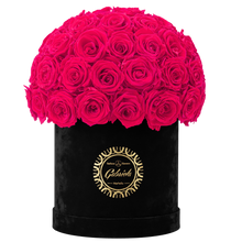 Velvet Special Collection bouquet with more than 50 Roses