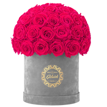 Velvet Special Collection bouquet with more than 50 Roses