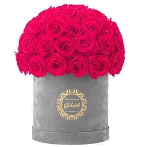 Velvet Special Collection bouquet with more than 50 Roses