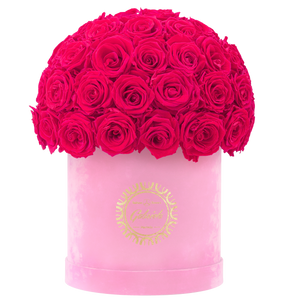 Velvet Special Collection bouquet with more than 50 Roses